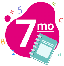 7mo
